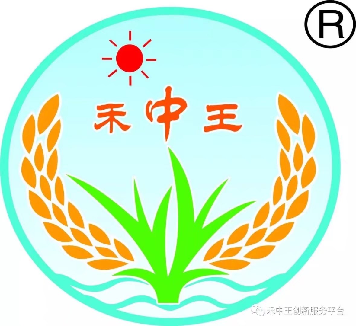 南宁市禾中王农资有限责任公司